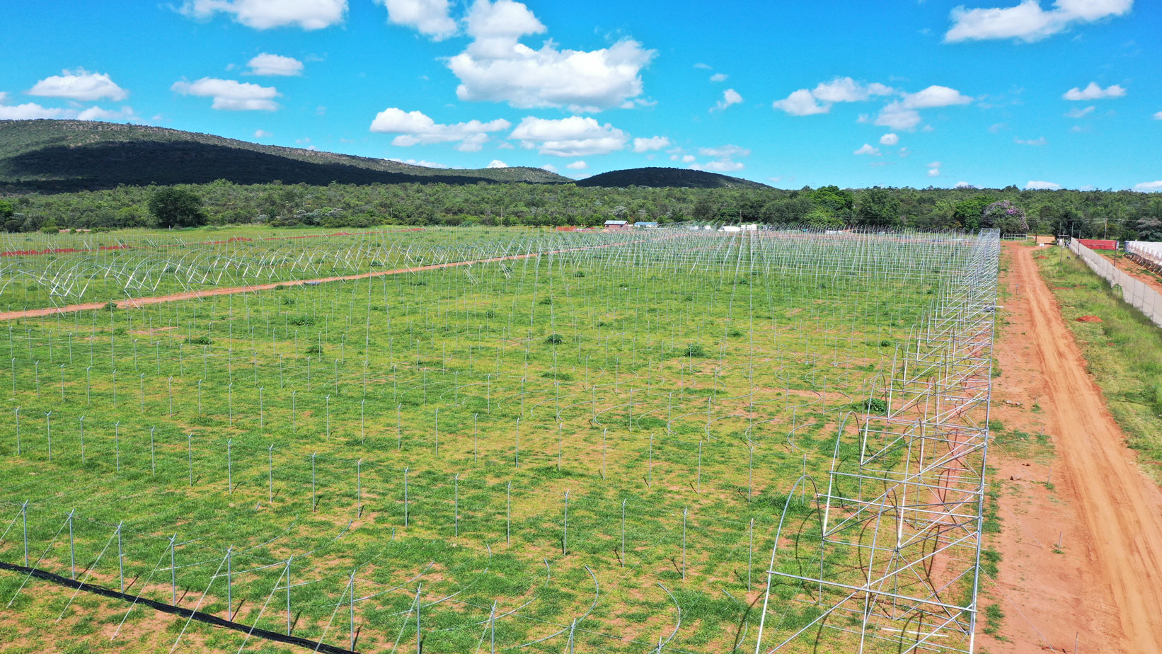 Achieving Scale & Reaching New Markets 